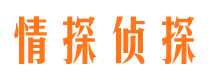 九台侦探公司